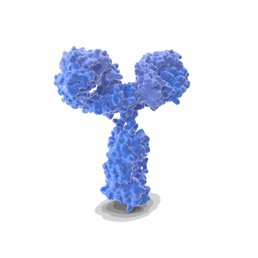 Gentaur Red 549 Mab Antibody