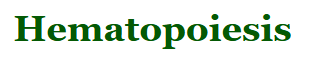 Hematopoiesis